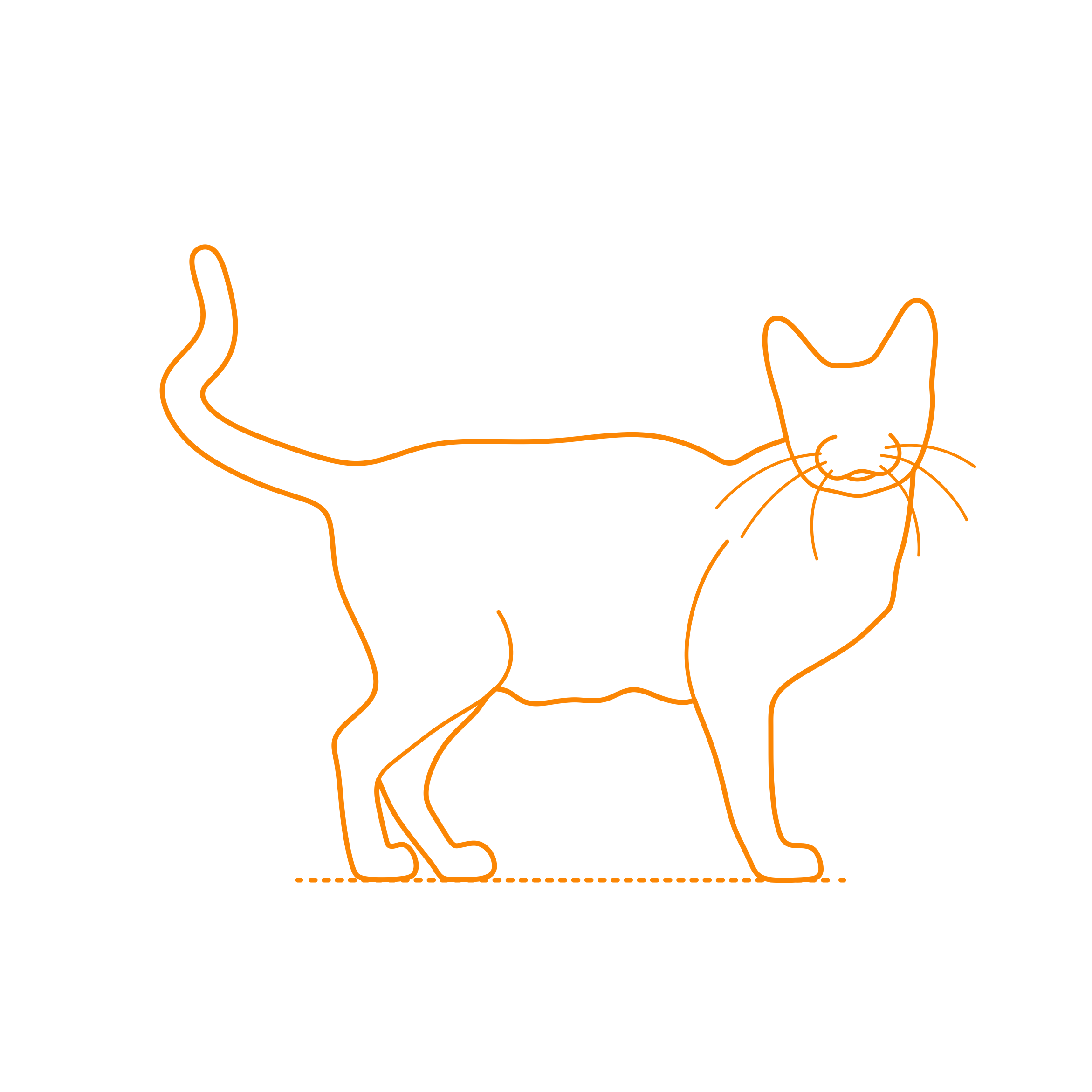 Animals Cats Havana Brown Cat Outline Svg Vector Free Vectors
